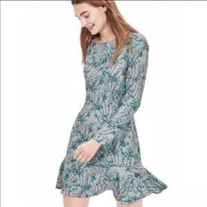 Banana Republic Drop Waist Floral Print Dress